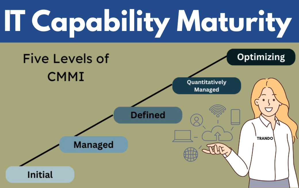 IT Capability Maturity